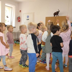 pokaż obrazek - 