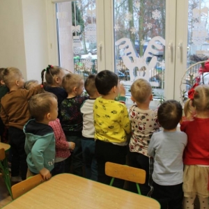 pokaż obrazek - 