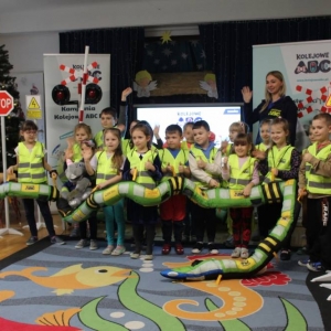 pokaż obrazek - 