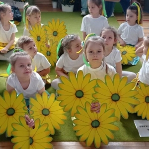 pokaż obrazek - 