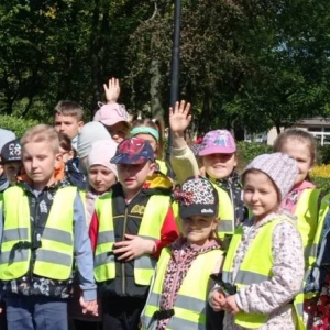 pokaż obrazek - 