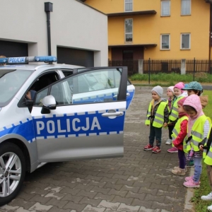 pokaż obrazek - 