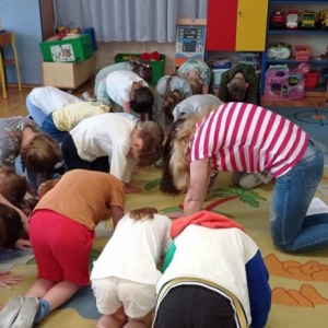 pokaż obrazek - 