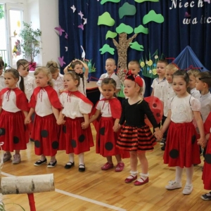 pokaż obrazek - 