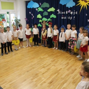 pokaż obrazek - 
