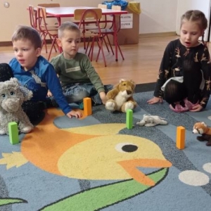 pokaż obrazek - 