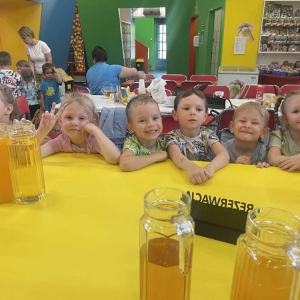 pokaż obrazek - 