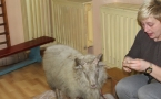 Zdjęcie