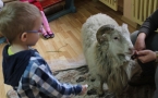 Zdjęcie