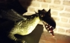 Zdjęcie